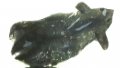 The specimen similar to Vampyroteuthis infernalis collected in September 2016 at depths between 800 and 1,000 meters in the South China Sea. Photo by Xinhua.