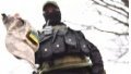 France confirms cases of desertion of Ukrainian soldiers during exercises - media