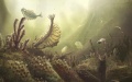 Chinese researchers unveil key factors of Cambrian Explosion of life. Photo by Xinhua.