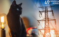 Weeks needed to completely abandon power outage schedules - Advisor to Prime Minister Boiko