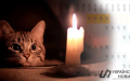 Kyiv residents lived with emergency or stabilization power outages for almost 100 days during year - Kyiv City