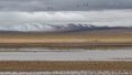 A view of the Tuotuo River at the source region of the Yangtze River, China's longest river, in northwest China's Qinghai Province. Photo by Xinhua/Zhang Cheng.