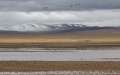 A view of the Tuotuo River at the source region of the Yangtze River, China's longest river, in northwest China's Qinghai Province. Photo by Xinhua/Zhang Cheng.
