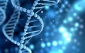 Beijing is strengthening the development of its synthetic biology industry. Photo by Xinhua.