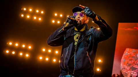RZA (Wu-Tang Clan). Фото: Depositphotos