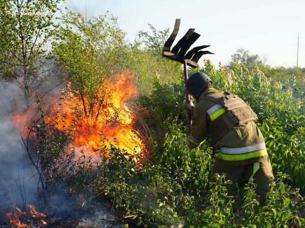 Фото: ДСНС