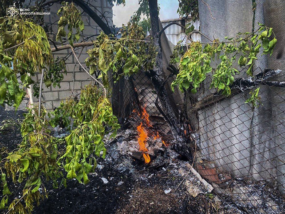 Фото: ДСНС