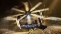 A palm-size solar-powered drone designed by researchers at Beihang University in Beijing, capital of China.  Photo by Beihang University/Xinhua.