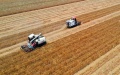 Harvesters in a wheat field in Liuzhuang Township of Queshan County, central China's Henan Province. Photo by Gong Huajing/Xinhua.