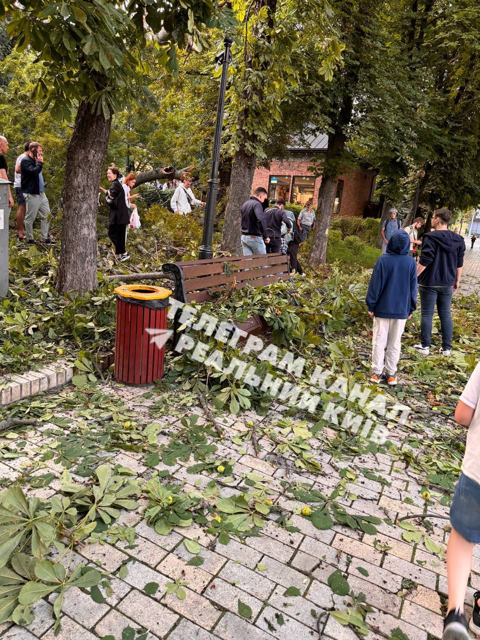 Фото телеграм-канал 