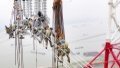 Staff members working on the ultra-high-voltage (UHV) direct current transmission line in Wuhu, east China's Anhui Province. Photo by Xinhua/Zhou Mu.