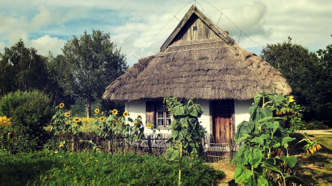 Літо. Фото: pixabay