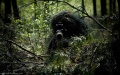 Number of battles near Pokrovsk commensurate with number of clashes at entire front - spokesman of Khortytsia