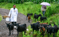 China has 1.1 million rural village doctors. Photo by Xinhua.