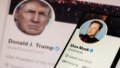 Donald Trump lies at least 20 times in conversation with Elon Musk