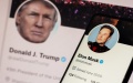 Trump promises Elon Musk public position in case of victory