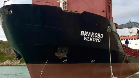 Сухогруз "Вилково". Фото: Подробности