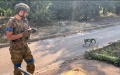 AFU already using robot dogs in Donbas - Bild