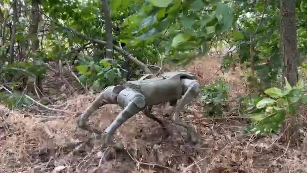 A robot in the form of a dog. Photo: bild