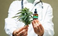EU ready to supply medical cannabis to Ukraine - Health Ministry