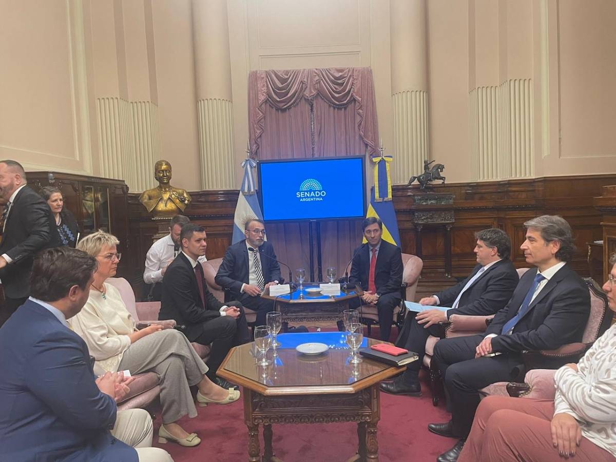 Украинская парламентская делегация во время визита в Парагвай.