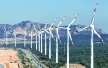 China provides new drivers for global green development. Photo by Xinhua.