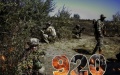 183 combat clashes take place at front on penultimate day of summer – AFU General Staff’s operational update