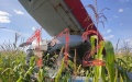 Aleks-251 amphibious plane crashes near moscow – russian media