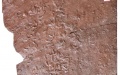Turtle, bird, dinosaur tracks reveal NW China's Cretaceous past. Photo by Xinhua.