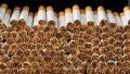 The delay in signing the law on raising excise on cigarettes has already cost Ukraine UAH 579,9 mln, – MP