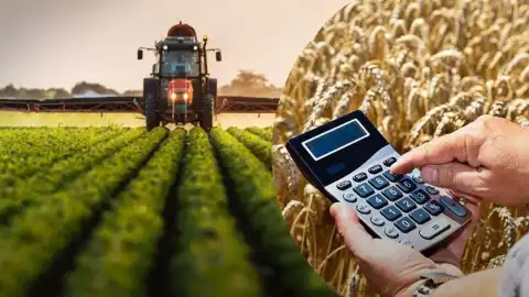 Субсидії для аграріїв. Колаж: 24 канал