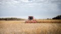 China sees net increase in farmland. Photo by Xinhua.