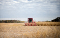 China sees net increase in farmland. Photo by Xinhua.