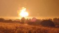Russia loses supply of ammunition for 2-3 months due to attack on depot in Toropets - Estonian intelligence