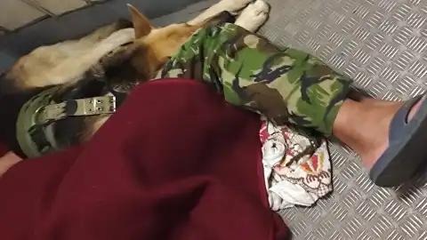 Военный, спящий на полу в тамбуре поезда Одесса — Ковель. Фото: Facebook Екатерина Белозерова