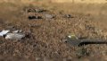 For the first time, AFU downed Shahed on which russians installed Starlink - Defense Express
