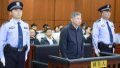 Xiong Xue, former vice mayor of southwest China's Chongqing Municipality. Photo by Xinhua.