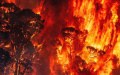 Extreme fires amplify post-fire land surface warming. Photo by Xinhua.