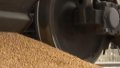 Poland and Romania become largest recipients of grain by rail – Ukrzaliznytsia