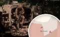 Russian army likely seized Vuhledar - ISW