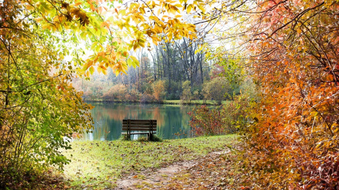 Осінь. Фото: pixabay