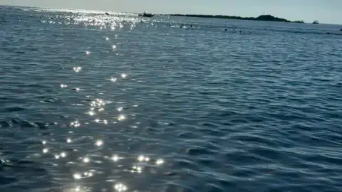 Дочка Фаріон на морі. Фото: Софія Особа