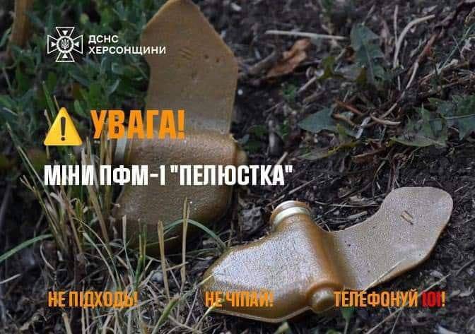 Фото: ДСНС Херсонщини