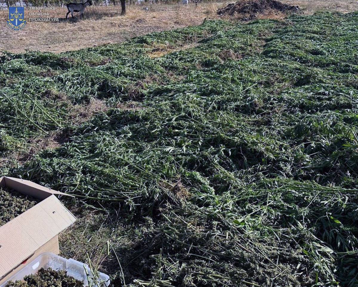 Фото: Запорізька обласна прокуратура