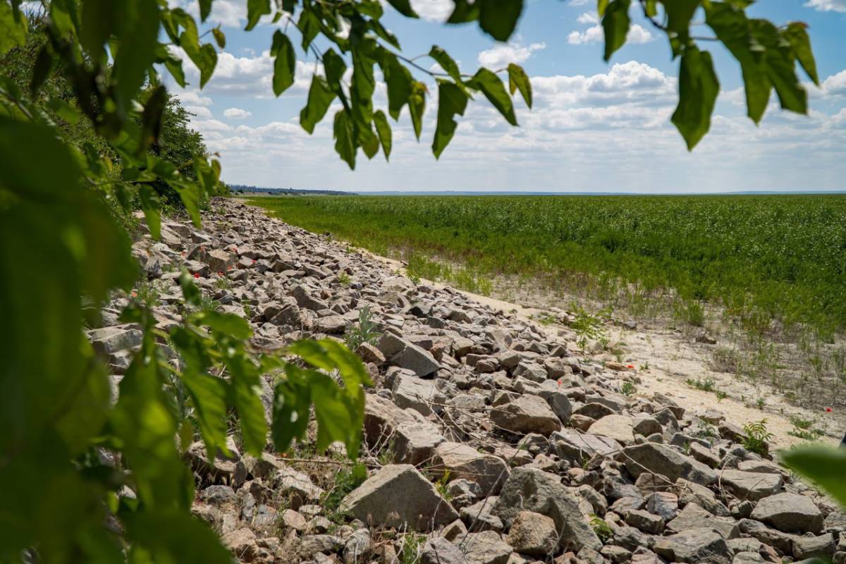 Зелені луки на місці Каховського водосховища