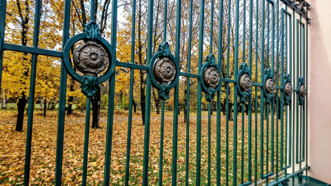 Осінь. Фото: pixabay