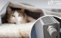 Almost 3,000 houses in capital still without heating: Klitschko reports new data