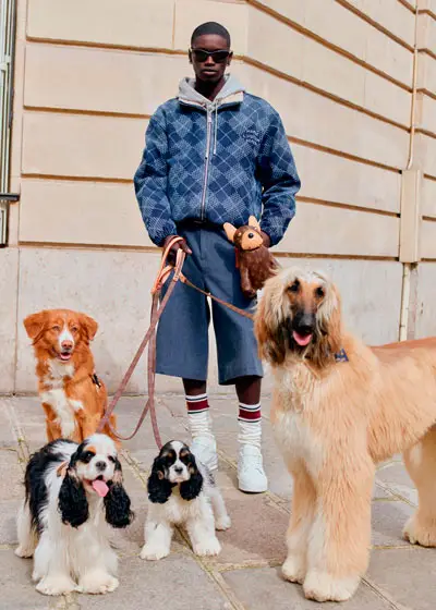 Dog LVers. Фото: Louis Vuitton