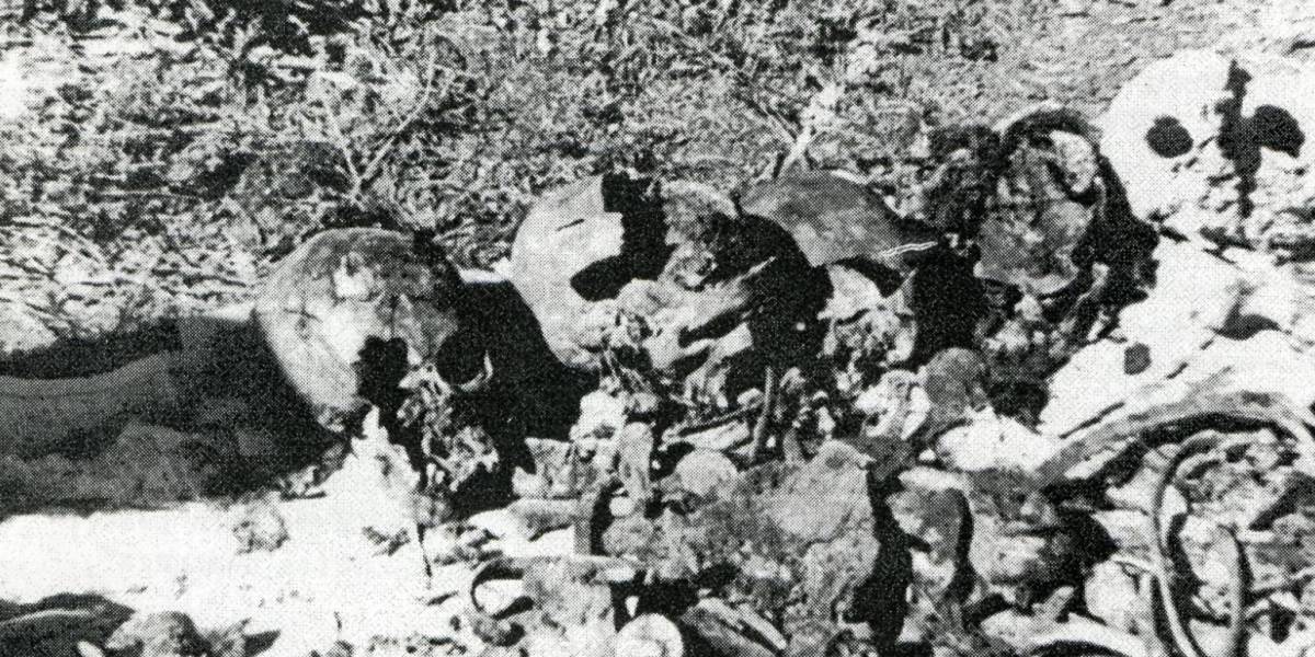 Місце першого розкопу у Сандармосі. Ось що побачили представники Санкт-петербурзького «Меморіалу» та Юрій Дмитрієв 1 липня 1997 року.