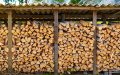 Wood. Photo: depositphotos